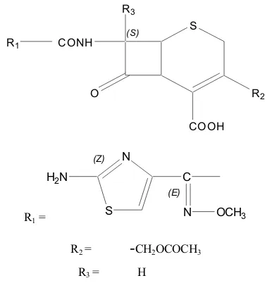 Gambar 2. Struktur antibiotik oksasilin