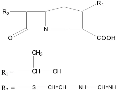 Gambar 4. Struktur antibiotik Imipenem