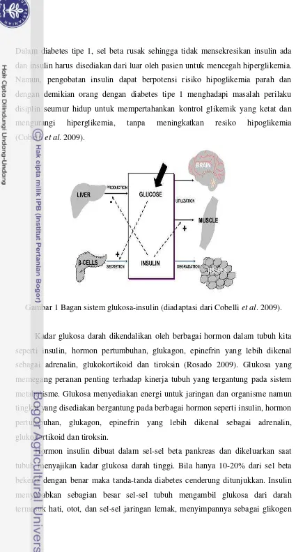 Gambar 1 Bagan sistem glukosa-insulin (diadaptasi dari Cobelli et al. 2009). 