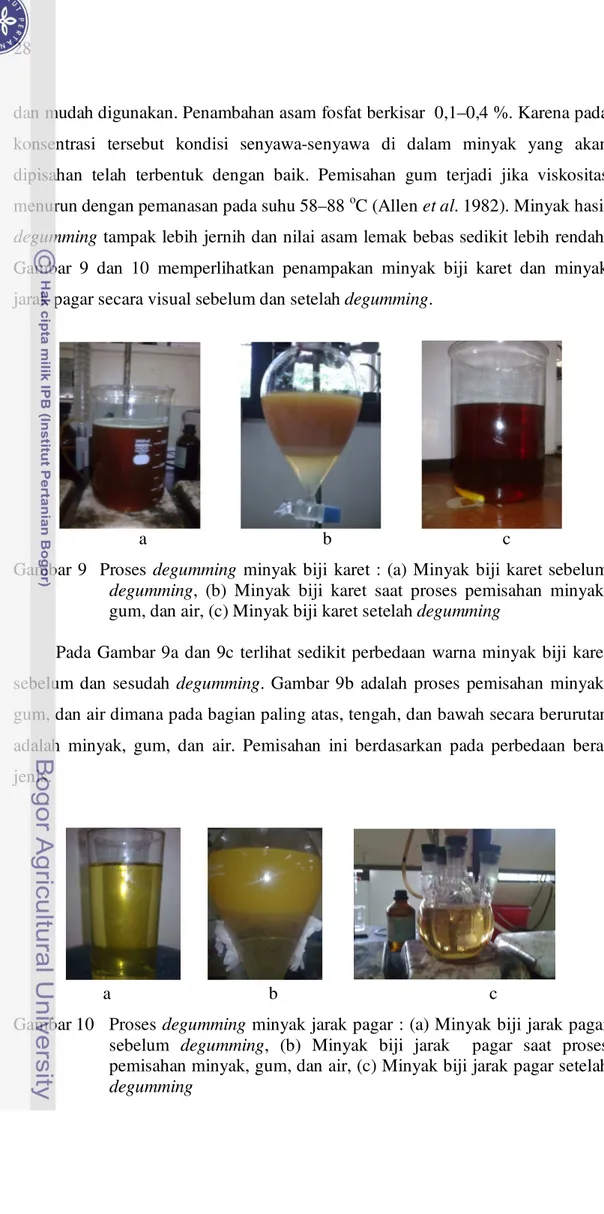 Gambar  9    Proses degumming  minyak biji  karet  :  (a)  Minyak  biji  karet sebelum  degumming,  (b)  Minyak  biji  karet  saat  proses  pemisahan  minyak,  gum, dan air, (c) Minyak biji karet setelah degumming 