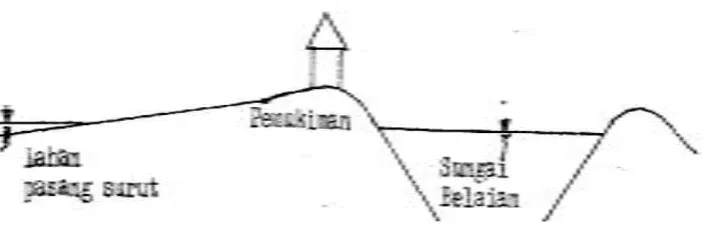 Gambar 1.  Profil melintang daerah pasang surut 