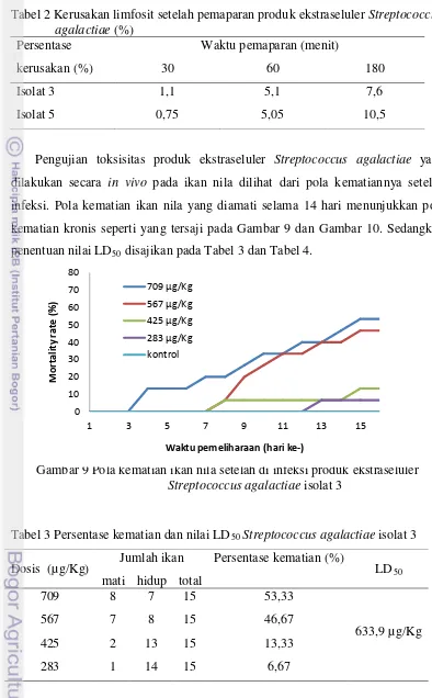 Tabel 3 Persentase kematian dan nilai LD50 Streptococcus agalactiae isolat 3 