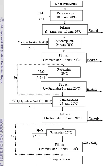 Gambar 1. Diagram alir proses isolasi kolagen kulit cumi�cumi dari Te Nijenhuis, 1997:  