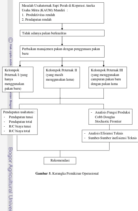 Gambar 5. Kerangka Pemikiran Operasional  