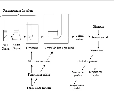 Gambar 1. Skema dari proses fermentasi (Stanbury dan Whitaker, 1987) 