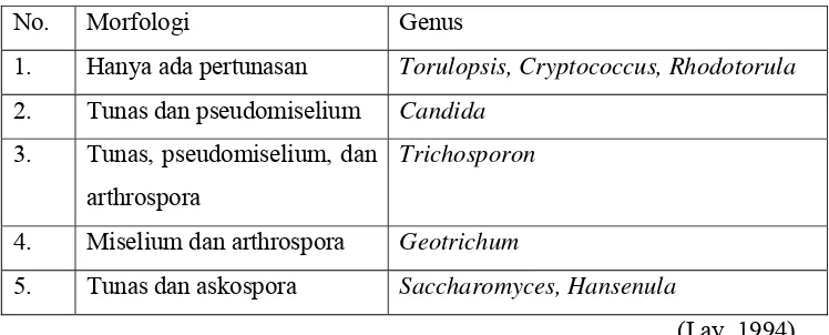 Tabel 2. Morfologi khamir 