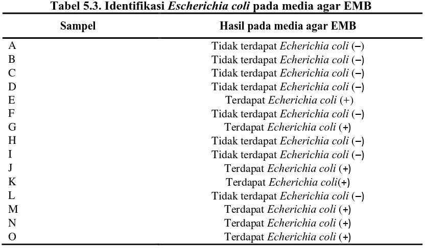 Tabel 5.3. Identifikasi Escherichia coli pada media agar EMB 