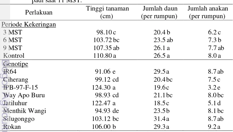 Tabel  3. Rata-rata tinggi tanaman, jumlah daun dan  jumlah anakan 8 genotipe 