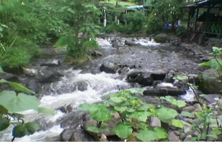 Gambar 14. Kondisi Jalan Menuju Lokasi Air Terjun Coban Rondo Doc. Dina (2008)  