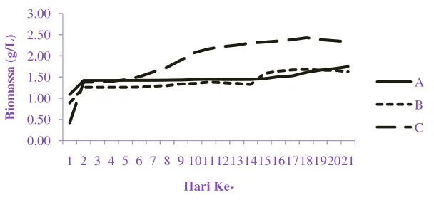 Gambar 3. Grafik biomassa S. fusiformis pada kultur skala laboratorium dengan perlakuan media Zarrouk modifikasi (A), media berbasis urea (B), dan media berbasis kotoran ayam (C) 