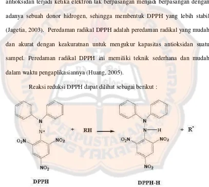 Gambar 1. Reaksi reduksi DPPH (Prakash, Rigelhof, Miller, 2001) 