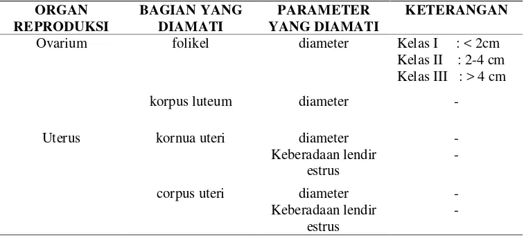 Tabel 2 Rincian Parameter Pengamatan Ultrasonografi 