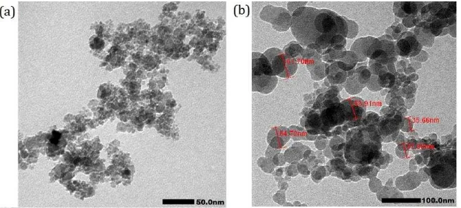 Gambar 3 merupakan struktur morfologi nanopartikel dengan menggunakan Transmission stabilitas kimianya