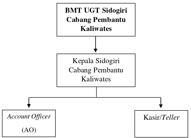 Gambar 4.1 Struktur Organisasi BMT Sidogiri Cabang Pembantu Kaliwates 