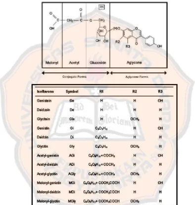 Gambar 4. Struktur umum isoflavon kedelai dan singkatannya (Rostagno et 
