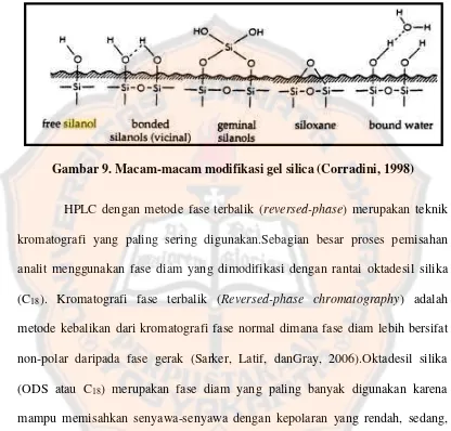 Gambar 9. Macam-macam modifikasi gel silica (Corradini, 1998) 