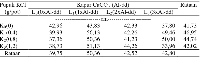 Tabel 7. Pengaruh pemberian kapur CaCO3 dan pupuk KCl terhadap tinggi tanaman kedelai di tanah Ultisol 