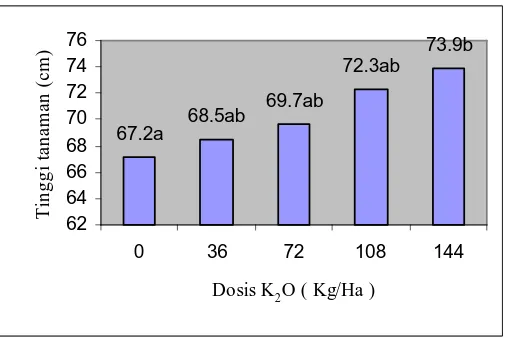 Gambar 4.9 Pengaruh Pemberian Pupuk K terhadap tinggi tanaman   Keterangan : Angka-angka yang diikuti huruf yang sama menunjukkan berbeda tidak nyata pada uji DMR 5 % 