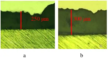 Gambar  8 Foto ketebalan lapisan komposit HAp-   kitosan  (a) 250 µm dan  (b) 300 µm. 