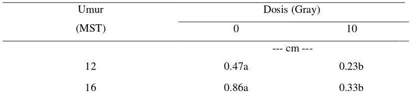 Tabel 8. Rataan Diameter Petiol Daun Tanaman Iles-iles (cm) pada Umur 12 MST dan 16 MST akibat Irradiasi Sinar Gamma 