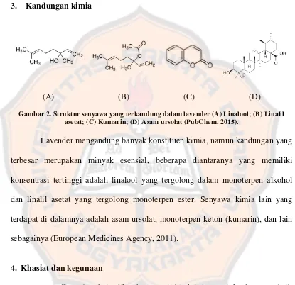 Gambar 2. Struktur senyawa yang terkandung dalam lavender (A) Linalool; (B) Linalil 