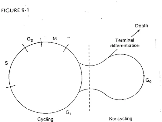 FIGURE 9-1Death/