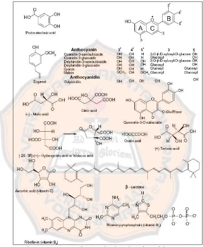 Gambar 3. Senyawa organik yang terkandung dalam kelopak bunga rosela (Carvajal-Zarrabal, et al, 2012) 