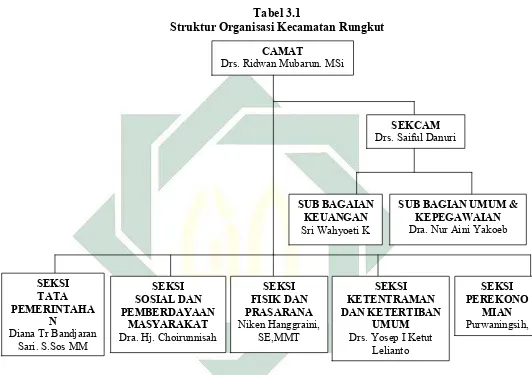 Tabel 3.1 Struktur Organisasi Kecamatan Rungkut 