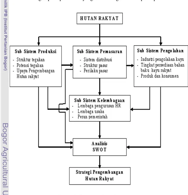 Gambar 1  Diagram alur pikir penelitian 