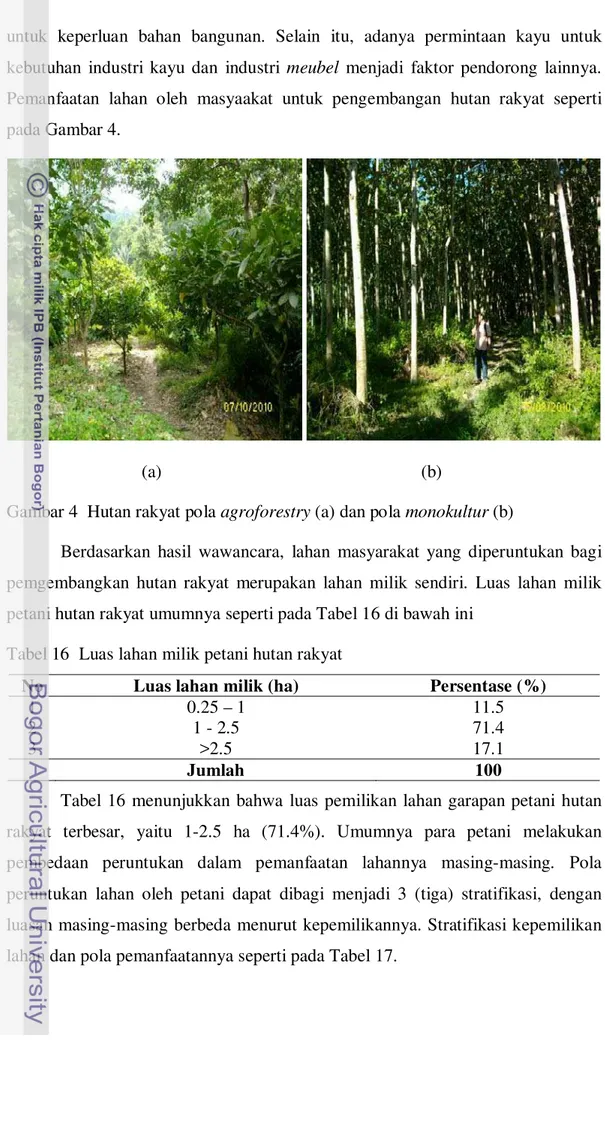 Gambar 4  Hutan rakyat pola agroforestry (a) dan pola monokultur (b) 