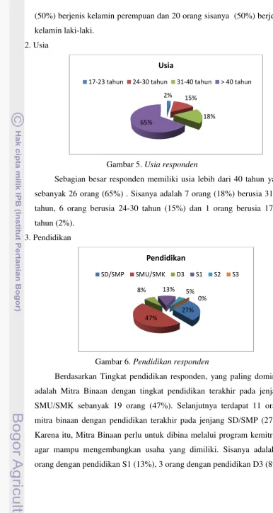 Gambar 5. Usia responden 