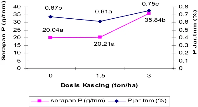 Gambar 4.4 Grafik Hubungan  Serapan P dan P Jaringan Tanaman Keterangan: Angka yang diikuti huruf yang sama menunjukkan berbeda tidak nyata dengan DMRT 5%   