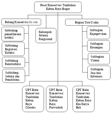 Gambar 3. Struktur Organisasi PKT-KRB,LIPI 