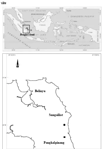 Figure 1 Study site (●) in the north east of Bangka Island 