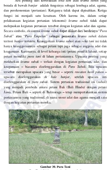 Gambar 30. Pura Tani  