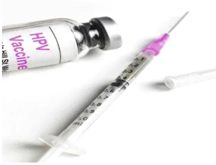 Gambar 4.2 Vaksin HPV 