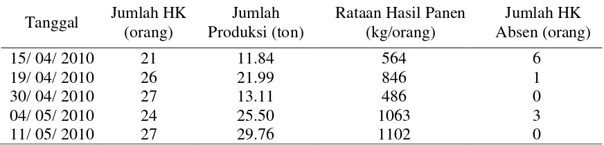 Tabel 6. Pengamatan Perbandingan Jumlah Pemanen dengan Jumlah Produksi 