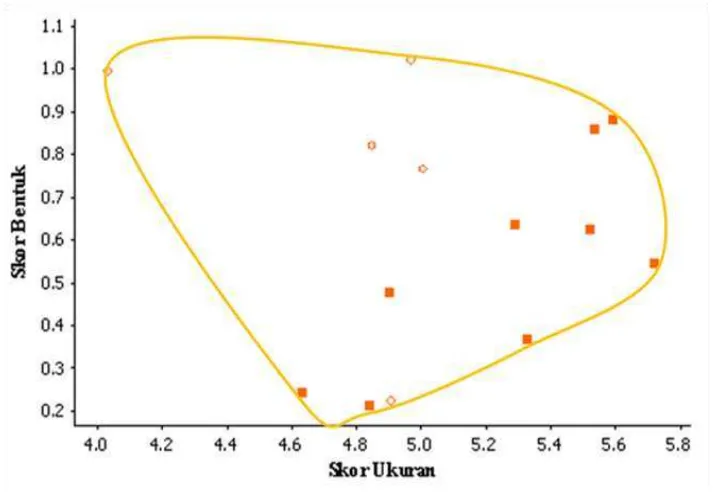 Gambar 12. Diagram Kerumunan Marga Chlidonias Berdasarkan Skor Ukuran dan Skor Bentuk Kepala 