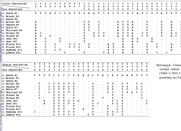 Tabel 3  Posisi variasi nukleotida gen COI A. cerana. 