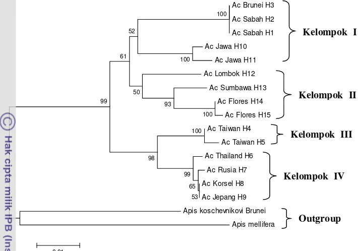 Gambar 5 Pohon filogeni A. cerana gen COI antara haplotipe 1-9 basis data GenBank (Tabel 1) 