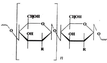 Gambar 1  Struktur kitin (R = -NHCOCH3)    dan kitosan (R = -NH2). 