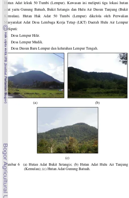 Gambar 6  (a) Hutan Adat Bukit Setangis; (b) Hutan Adat Hulu Air Tanjung  