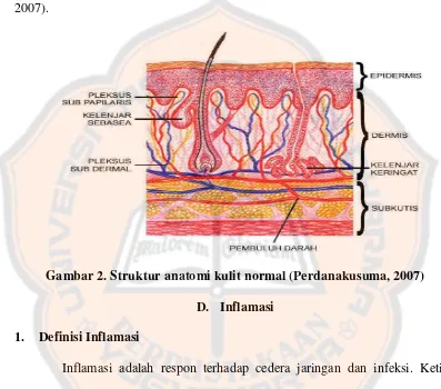 Gambar 2. Struktur anatomi kulit normal (Perdanakusuma, 2007) 