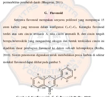 Gambar 5. Konfigurasi C6-C3-C6 flavonoid (Redha, 2010) 