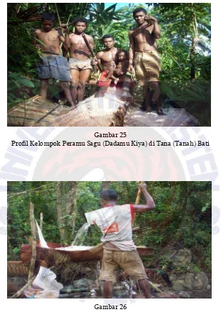 Gambar 25 Profil Kelompok Peramu Sagu (Dadamu Kiya) di Tana (Tanah) Bati 