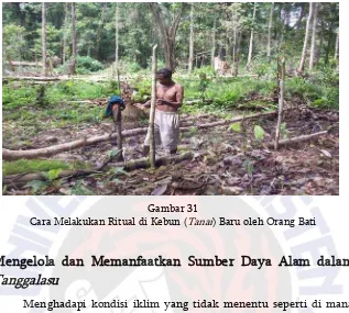Cara Melakukan Ritual di Kebun (Gambar 31 Tanai) Baru oleh Orang Bati 
