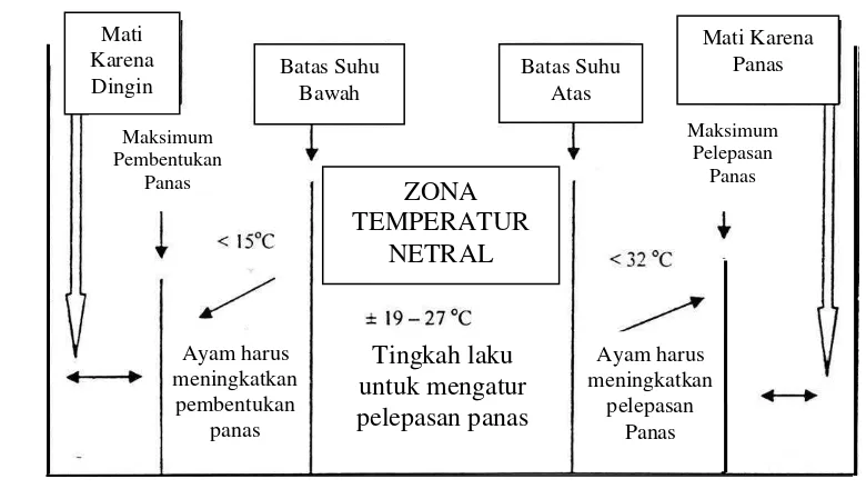 Gambar 1.  Diagram Zona Suhu Nyaman (Thermonetral Zone) pada Ayam Broiler  