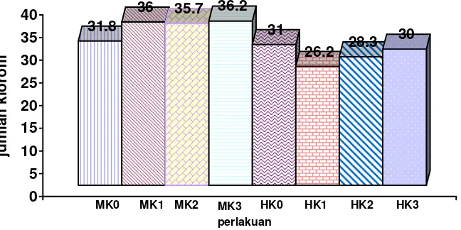 Gambar 4. Histogram jumlah klorofil A. hookeri umur 16 MST pada berbagai konsentrasi boron 