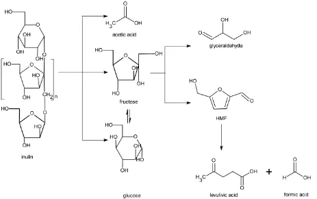 Figure 6. Proposed reaction network for inulin in copper (II) chloride solutions. 