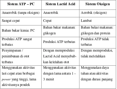 Tabel 2.  Karakteristik Umum Sistem Energi 